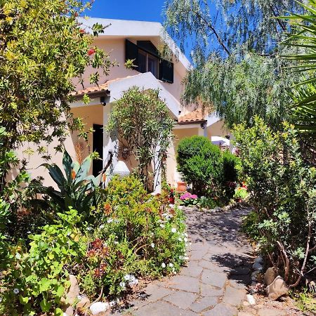 La Pirata Capitana Bed & Breakfast Costa degli Angeli Exterior photo