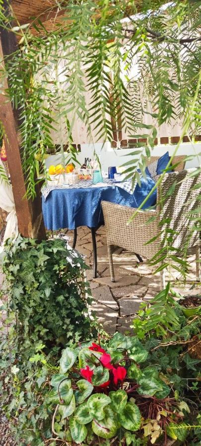 La Pirata Capitana Bed & Breakfast Costa degli Angeli Exterior photo