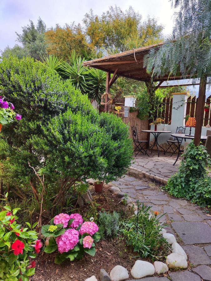 La Pirata Capitana Bed & Breakfast Costa degli Angeli Exterior photo