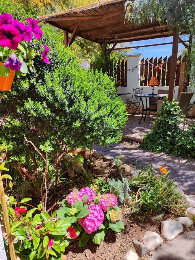 La Pirata Capitana Bed & Breakfast Costa degli Angeli Exterior photo